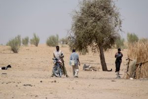 20120817_WHD_Niger