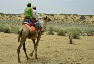 Health camps ensure that the most remote communities in high risk areas of Pakistan have access to life-saving vaccines and other health services. EOC Pakistan