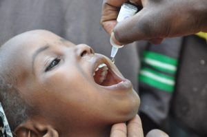 A child is immunized against polio in Kano, northern Nigeria Rod Curtis/WHO