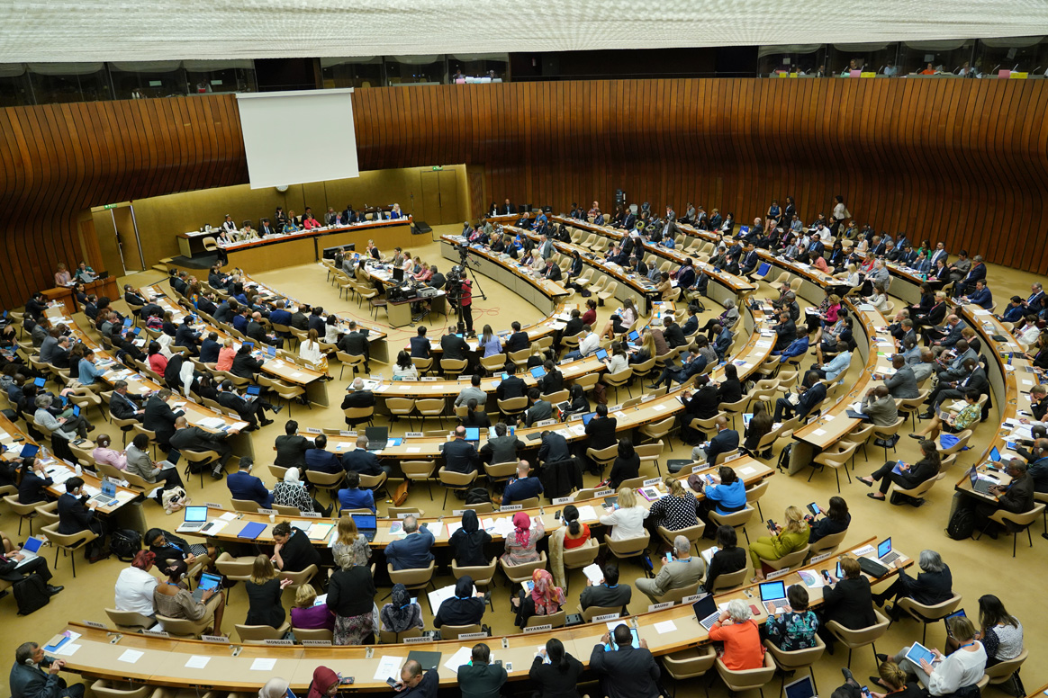 72nd World Health Assembly. ©WHO/L.Cipriani